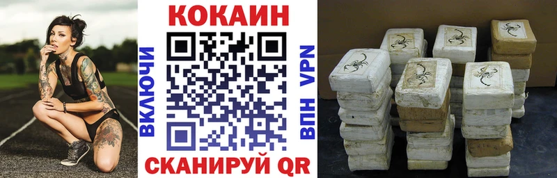 ссылка на мегу ТОР  Чернушка  Кокаин Fish Scale 