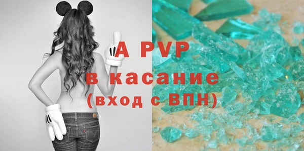тгк Болотное