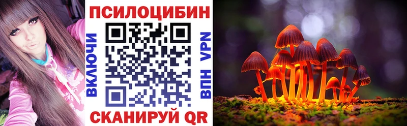 Псилоцибиновые грибы Psilocybe  Чернушка 