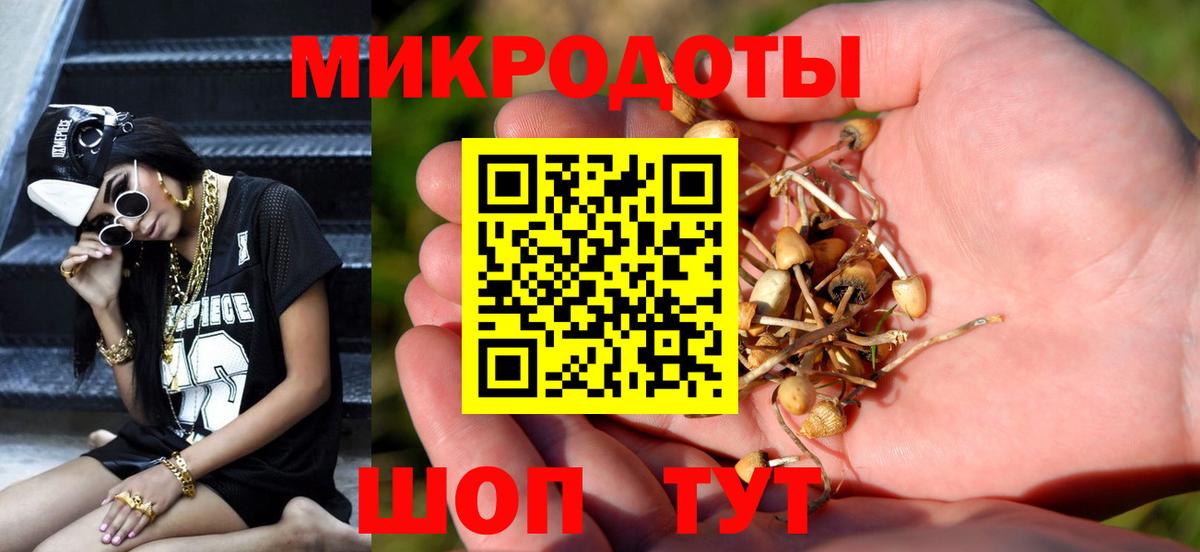 Галлюциногенные грибы Cubensis Чернушка