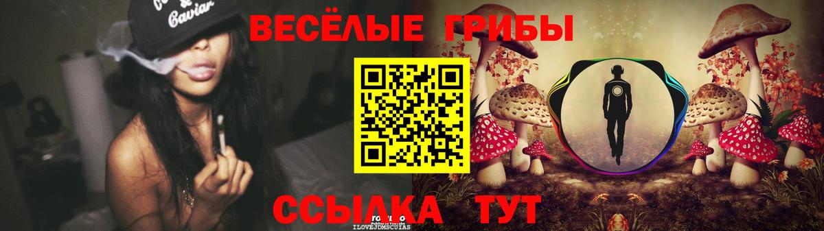 Псилоцибиновые грибы Magic Shrooms Чернушка